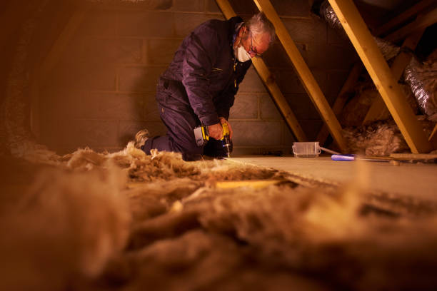 Best Commercial Insulation in Liberty, KY